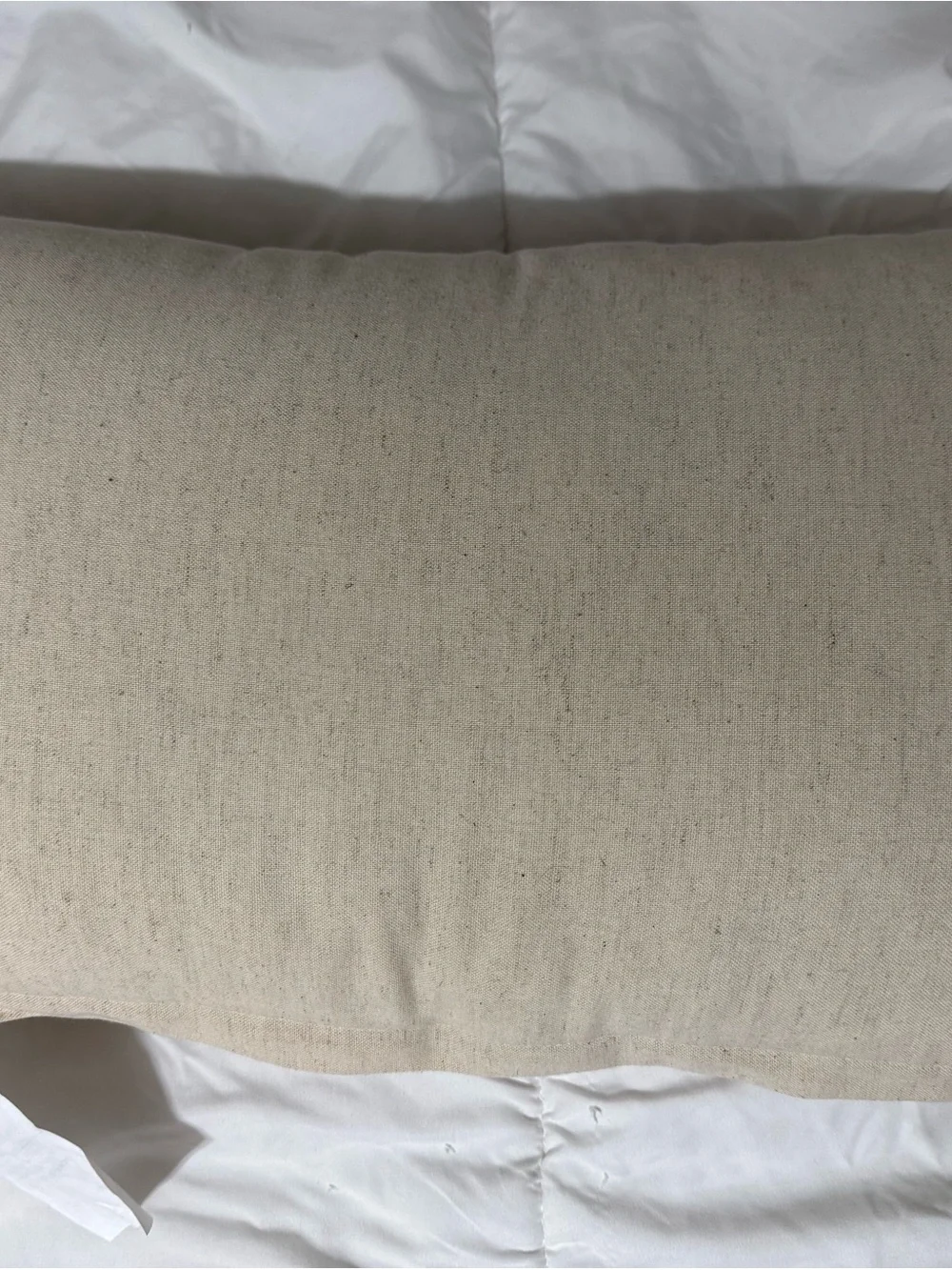 Halloween Ghosts Reading Books Pillow